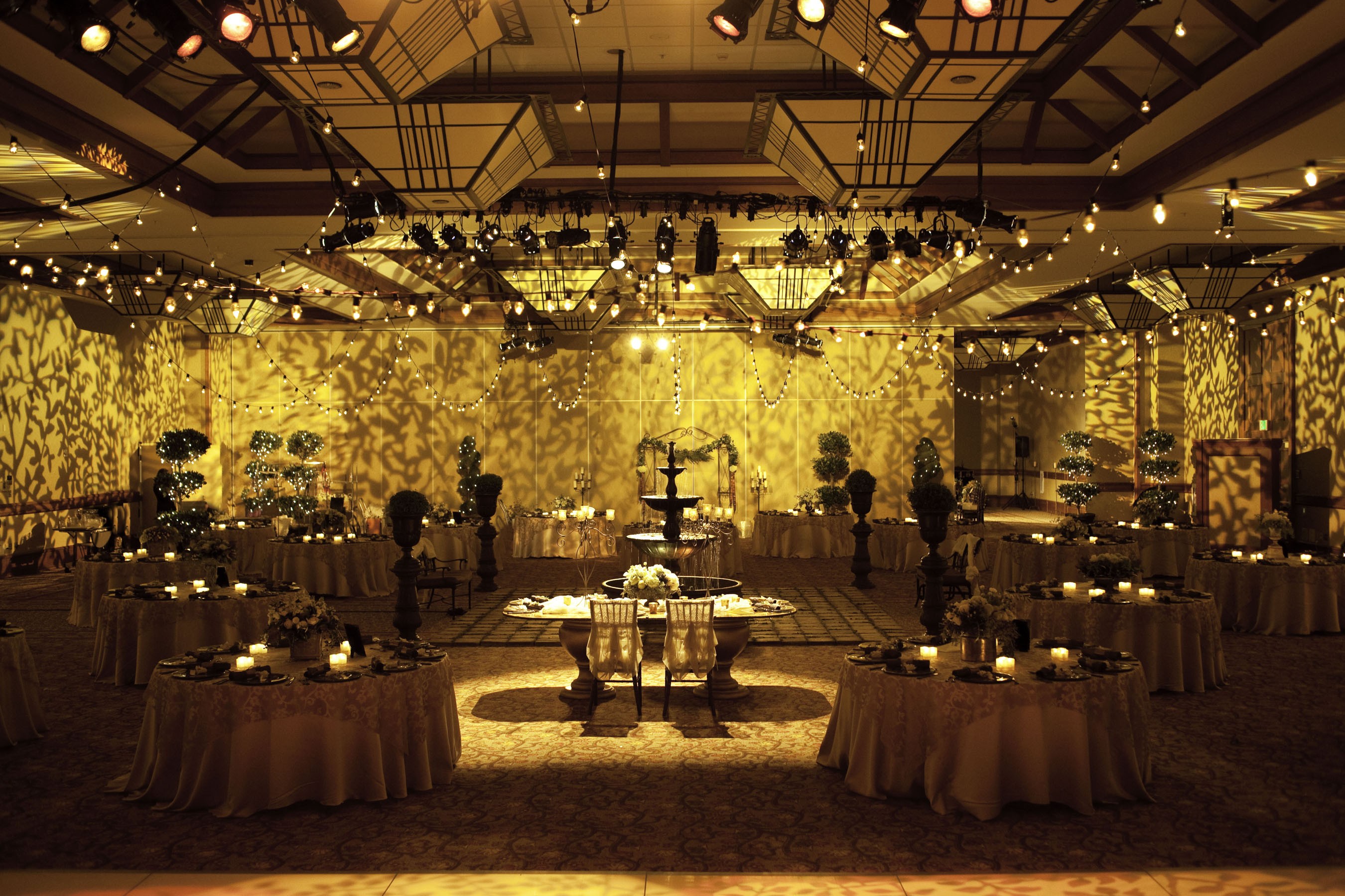 Wedding Reception Lights Decorations